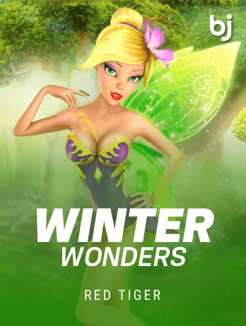 Winter Wonders game icon